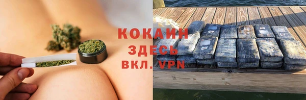 твердый Магас