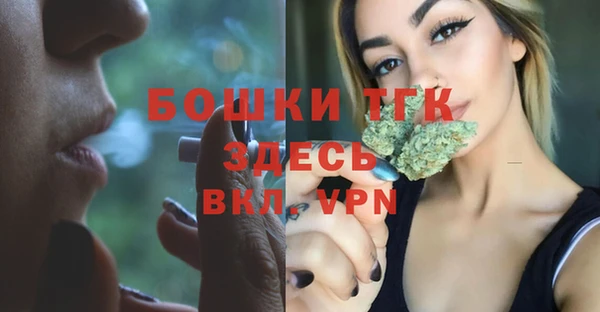 PSILOCYBIN Майский