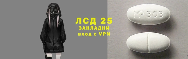 PSILOCYBIN Майский