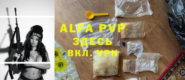 твердый Магас