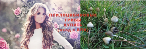 твердый Магас