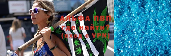PSILOCYBIN Майский