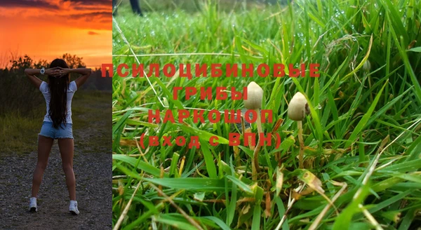 твердый Магас
