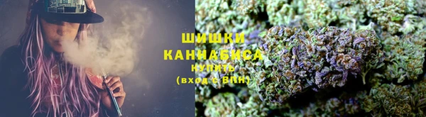 твердый Магас