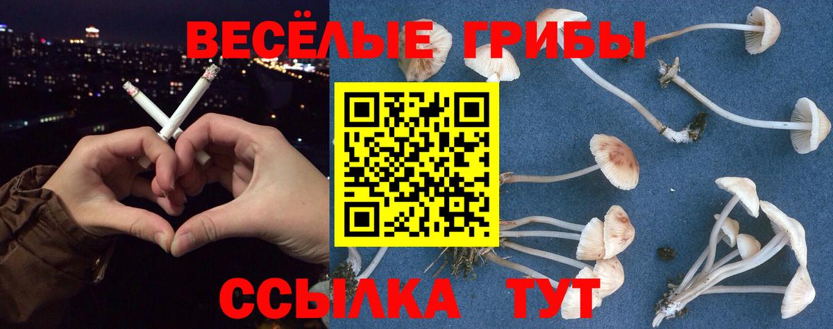 цена   Саров  Галлюциногенные грибы мицелий 