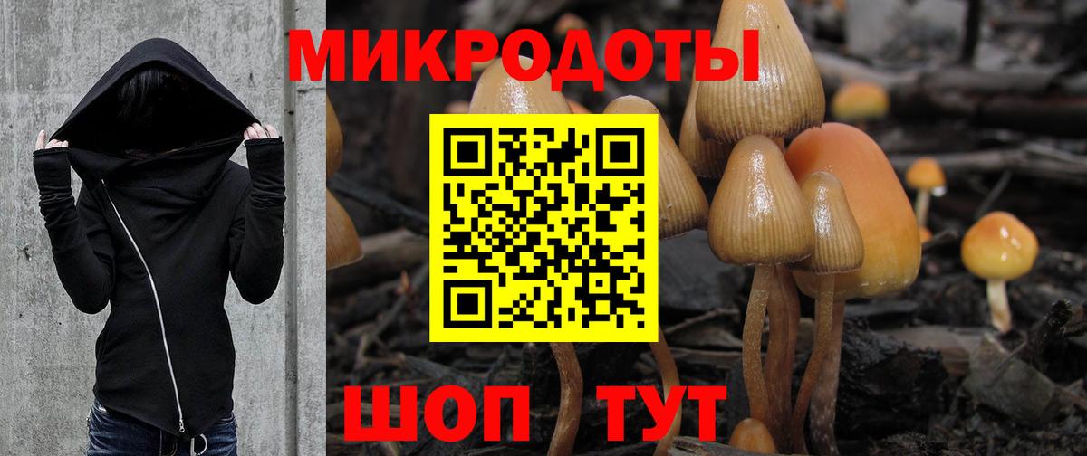 закладка  Псилоцибиновые грибы Cubensis  Вход с VPN  Саров 